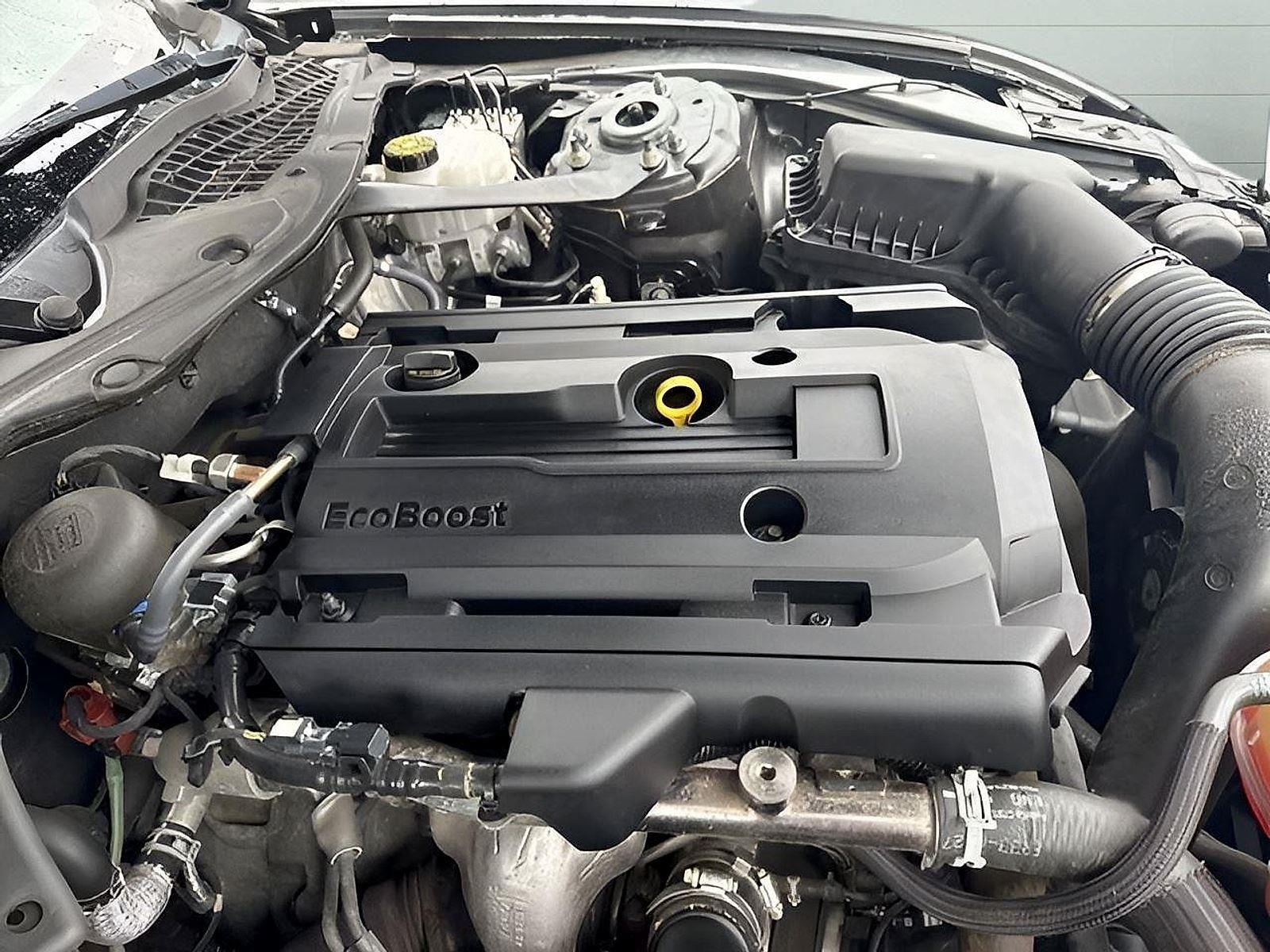 2019 Ford Mustang EcoBoost