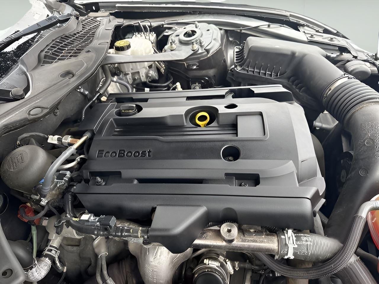 2019 Ford Mustang EcoBoost