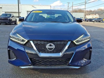 2023 Nissan Maxima SV