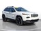 2017 Jeep Cherokee Altitude 4x4